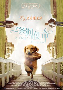 大学生的幸福婚宴