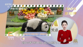 欧美日韩综合一区二区三区